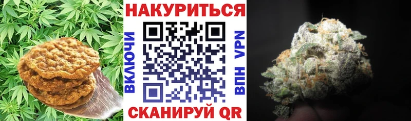 omg сайт  Черноголовка  Cannafood конопля  купить наркотик 
