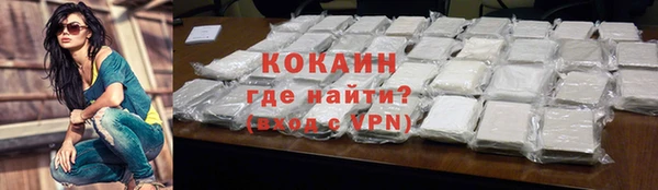 соль ск Абаза
