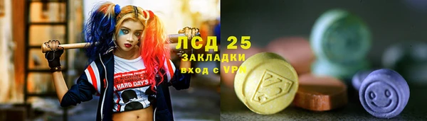 соль ск Абаза