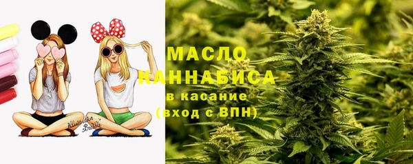 соль ск Абаза