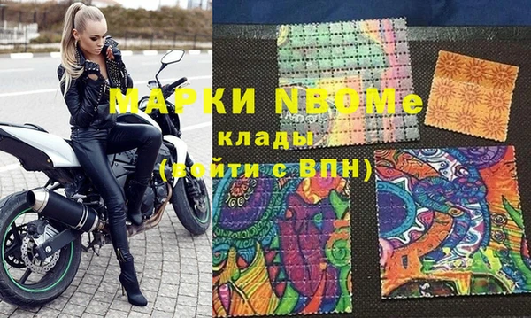 прущие грибы Переславль-Залесский