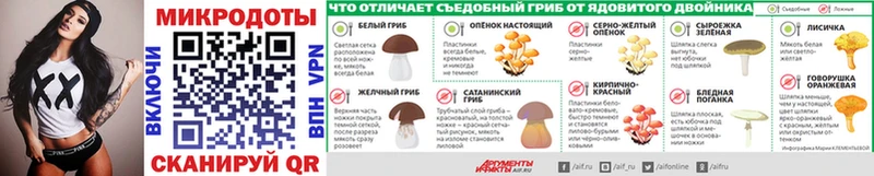 Псилоцибиновые грибы Psilocybine cubensis  Черноголовка 